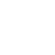 advs-icon-2.png